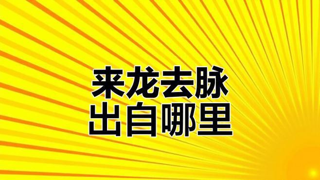 來龍去脈這個成語還有其他出處嗎？