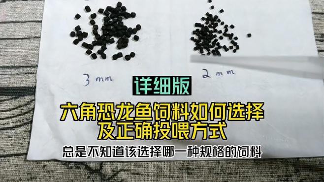 如何判斷六角龍魚飼料的好壞？
