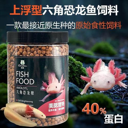 如何判斷六角龍魚飼料的好壞？