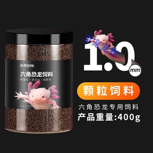 如何判斷六角龍魚飼料的好壞？