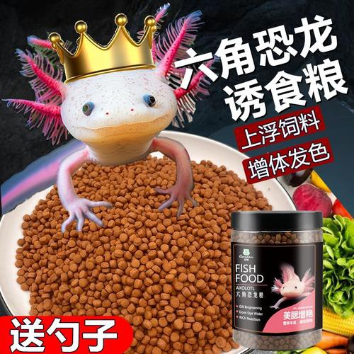 如何判斷六角龍魚飼料的好壞？