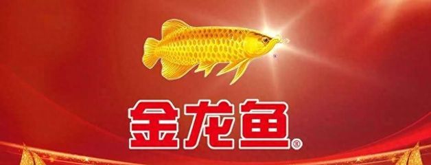 金龍魚不愿意吃食怎么回事：金龍魚不吃食怎么辦