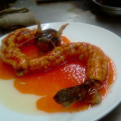 龍魚吃火腿腸嗎：龍魚可以吃火腿腸嗎