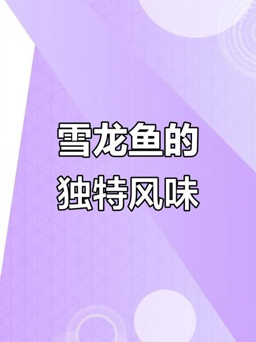 雪龍魚又叫什么魚圖片