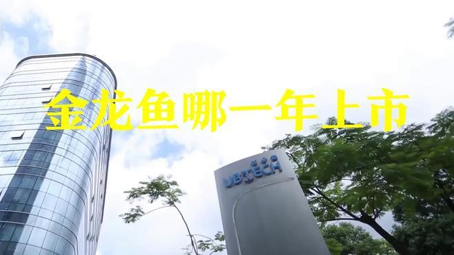 金龍魚上市首日 金龍魚上市首日 龍魚百科 第2張