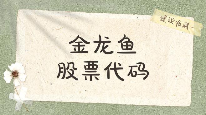 金龍魚上市首日 金龍魚上市首日 龍魚百科 第4張