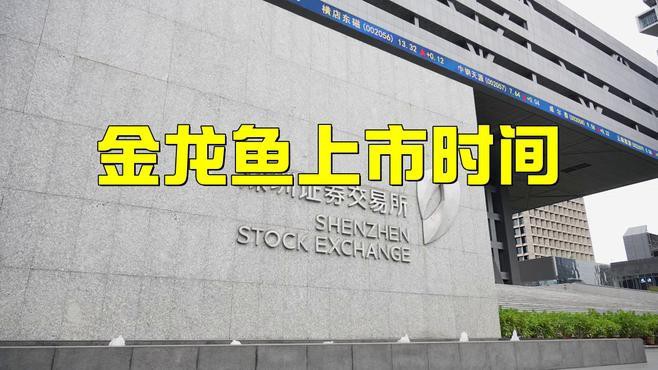 金龍魚上市首日 金龍魚上市首日 龍魚百科 第1張