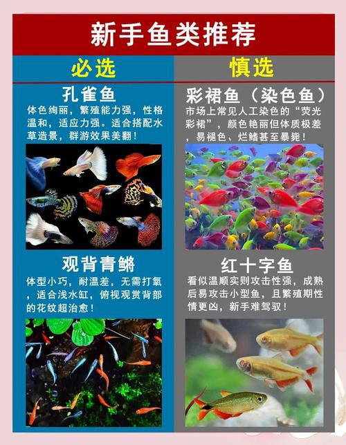 曼龍魚和孔雀魚可以一起養嗎圖片