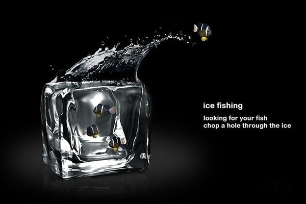 汶上縣情緣花卉水族館（汶上縣情緣花卉水族館電話） 汶上縣情緣花卉水族館（汶上縣情緣花卉水族館電話） 全國水族館企業名錄