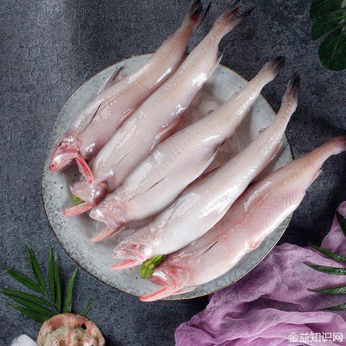 吃龍頭魚的好處：吃龍頭魚有哪些好處？