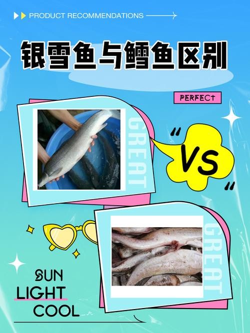 黑銀龍魚圖片