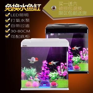 龍魚的缸里用不用打氧：龍魚的缸里需要打氧，是否需要打氧，龍魚缸增氧設備選擇指南