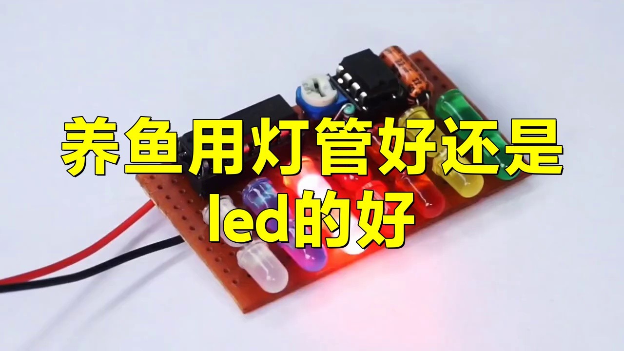 金龍魚用燈管和led哪個好用一點