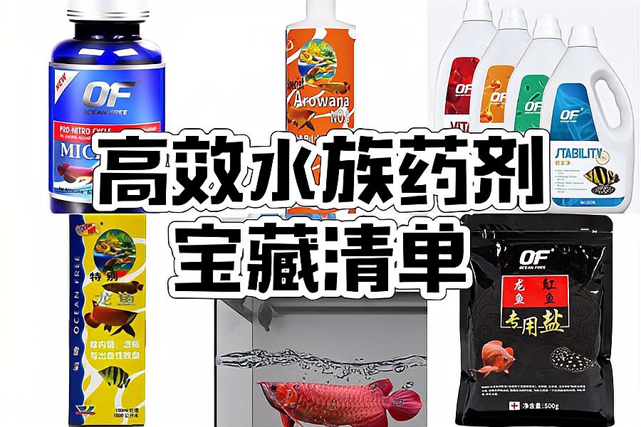 有哪些有效的龍魚內(nèi)寄藥物？