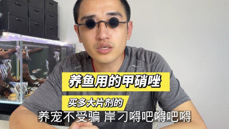 有哪些有效的龍魚內(nèi)寄藥物？