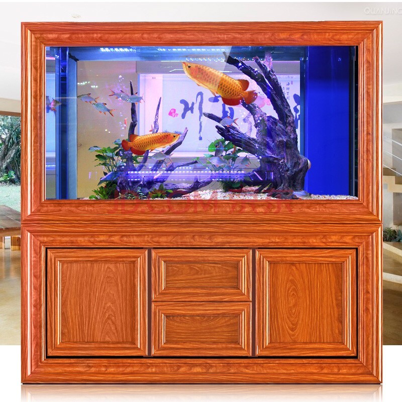 紅龍魚品種大全（紅龍魚品種大全圖片） 紅龍魚品種大全（紅龍魚品種大全圖片） 龍魚百科