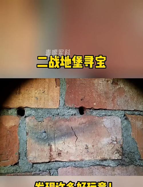 有沒有其他類型的尋寶小說推薦？ 有沒有其他類型的尋寶小說推薦？ 龍魚百科 第8張