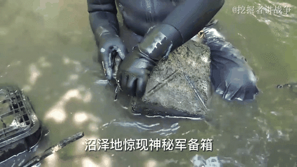 有沒有其他類型的尋寶小說推薦？ 有沒有其他類型的尋寶小說推薦？ 龍魚百科 第12張