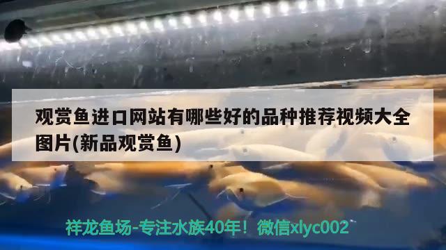 齊河縣鑫程漁具商店（齊河縣鑫程漁具商店地址）