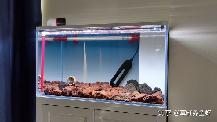 保定市滿城區智勇水族館（保定市滿城區智勇水族館電話）