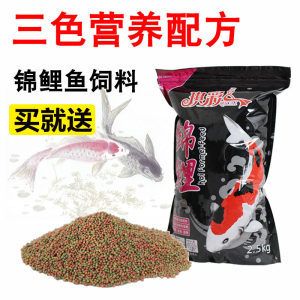 小龍魚吃什么飼料比較好養：小龍魚吃什么飼料好養