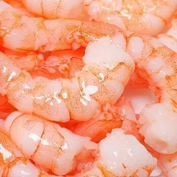 龍魚不愛吃蝦仁怎么辦：當龍魚不愿意食用蝦仁時，可以嘗試以下幾種方法嘗試