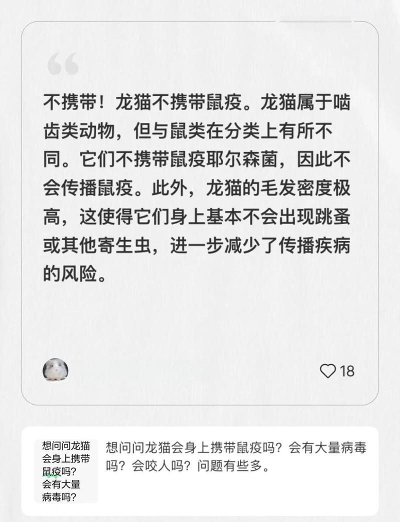 龍貓容易把細(xì)菌傳染給貓嗎 龍魚百科 第1張 龍貓容易把細(xì)菌傳染給貓嗎 龍貓容易把細(xì)菌傳染給貓嗎 龍魚百科 第1張