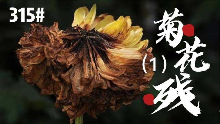 龍魚脫肛是什么意思（龍魚脫肛怎么辦） 龍魚脫肛是什么意思（龍魚脫肛怎么辦） 龍魚百科 第4張