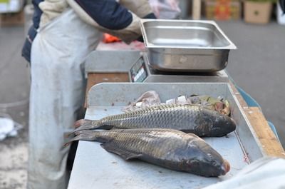 龍魚炸鱗爛鱗是什么原因引起的（龍魚炸鱗爛鱗是什么原因引起的龍魚炸鱗爛鱗可能由多種因素引起）