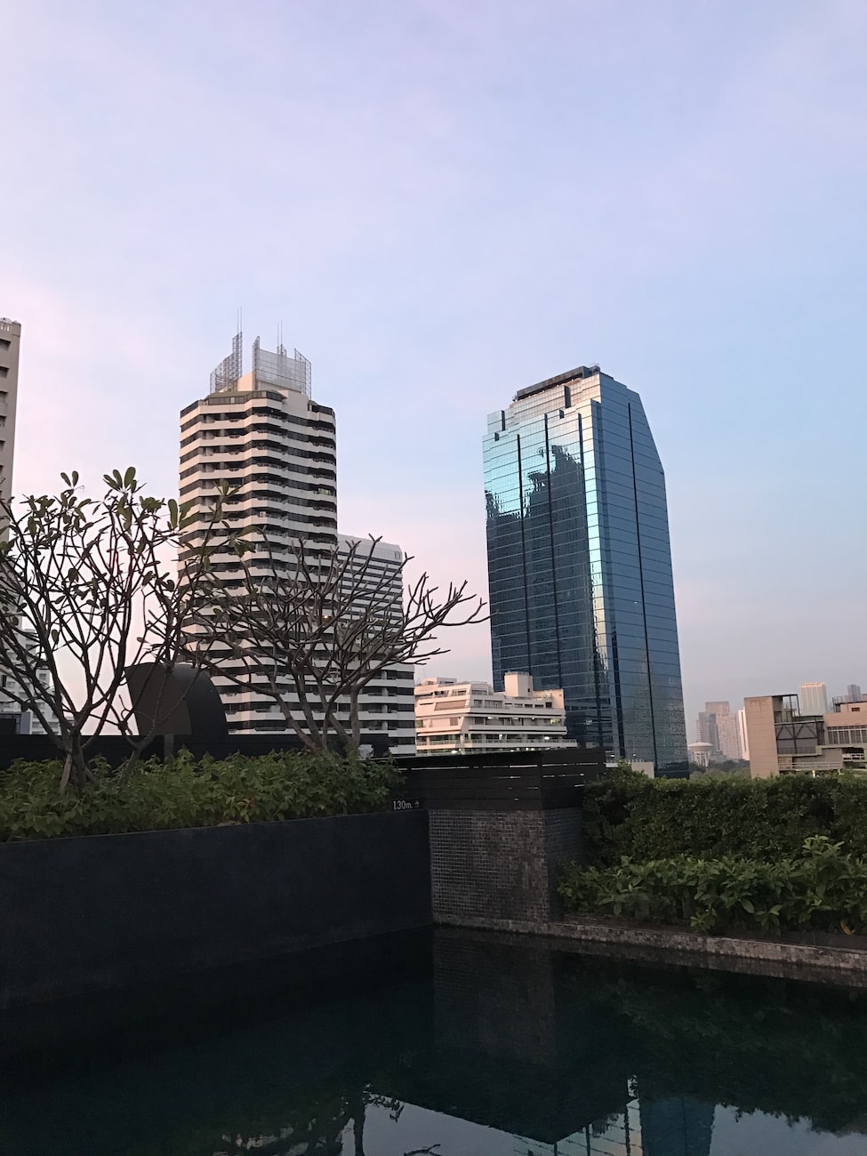 寶塔區紅化都市花鄉花卉店（寶塔區紅化都市花鄉花卉店地址）