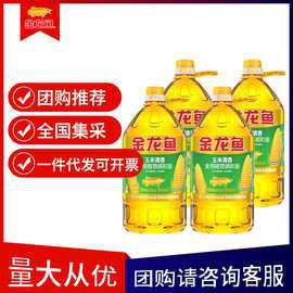 金龍魚5升價格及圖片