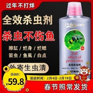 龍魚身上有白點用什么藥治療龍魚身上白點用什么藥：龍魚身上有白點怎么辦 龍魚身上有白點用什么藥治療龍魚身上白點用什么藥：龍魚身上有白點怎么辦 龍魚百科 第2張