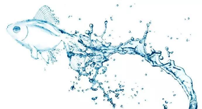 陽江市江城榮記水族館（陽江市江城榮記水族館電話）