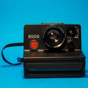 賽級金龍魚價格，賽級金龍魚養(yǎng)殖技巧分享賽級金龍魚價格受多種因素影響 賽級金龍魚價格，賽級金龍魚養(yǎng)殖技巧分享賽級金龍魚價格受多種因素影響 龍魚百科 第3張