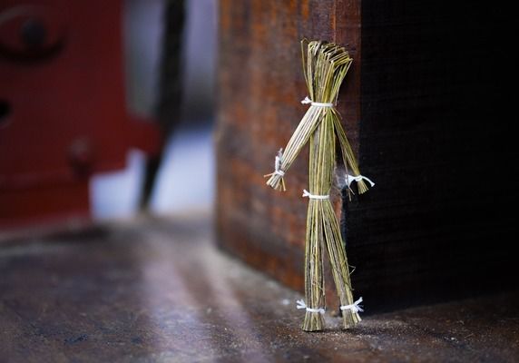 女王大帆魚苗疾病預防指南，女王大帆魚苗疾病預防指南女王大帆魚苗飼養密度標準