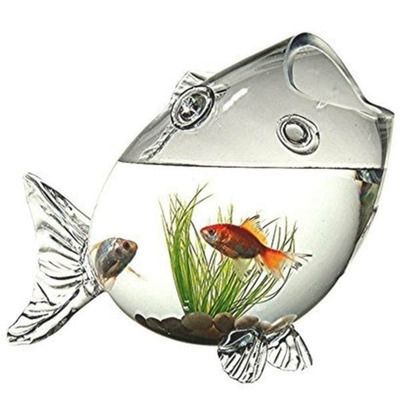 金魚養(yǎng)護(hù)的風(fēng)水講究：金魚養(yǎng)護(hù)風(fēng)水禁忌事項,不同顏色金魚的風(fēng)水寓意,金魚缸安裝吉日查詢方法