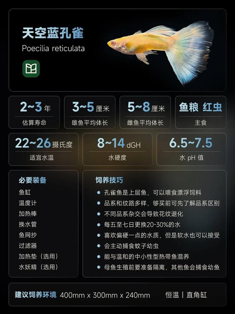 孔雀魚雜交公式圖 孔雀魚雜交公式圖 龍魚百科 第11張