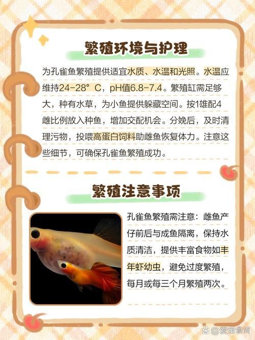 孔雀魚雜交公式圖 孔雀魚雜交公式圖 龍魚百科 第13張