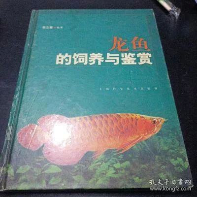 龍魚的飼養(yǎng)與鑒賞作文400字左右：龍魚的飼養(yǎng)與鑒賞