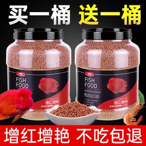 龍魚可以吃鸚鵡魚飼料嗎：龍魚能吃鸚鵡魚飼料嗎