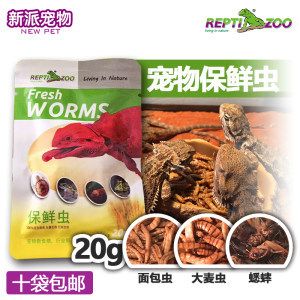 龍魚可以吃鸚鵡魚飼料嗎：龍魚能吃鸚鵡魚飼料嗎