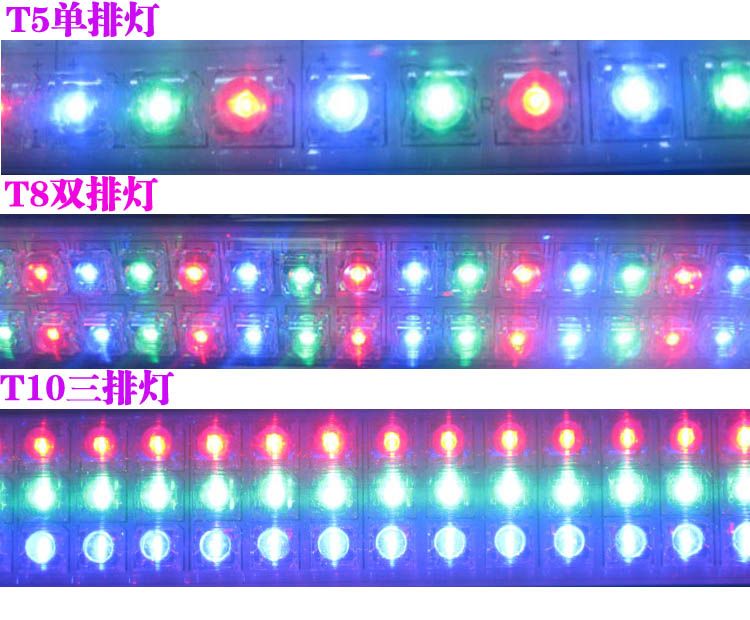 龍魚用什么品牌的燈好：龍魚專用燈品牌介紹