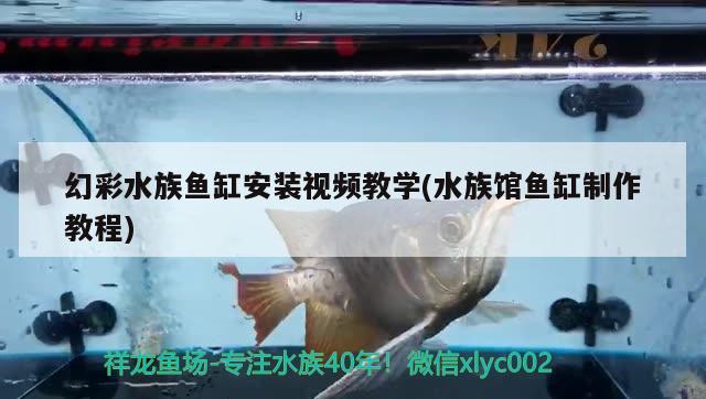 羅莊區(qū)將軍觀賞魚店