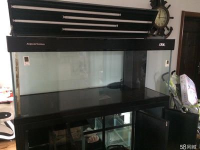 彩蝶龍潭新兵尺寸：彩蝶龍潭新兵系列魚缸尺寸