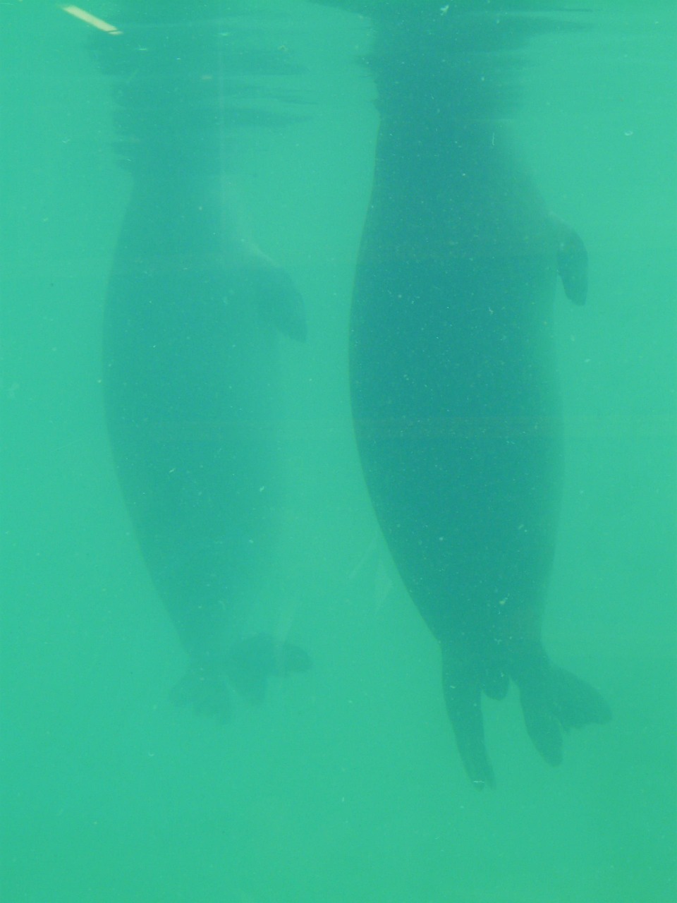 環翠區水源綠資水族館（環翠區水源綠資水族館地址）