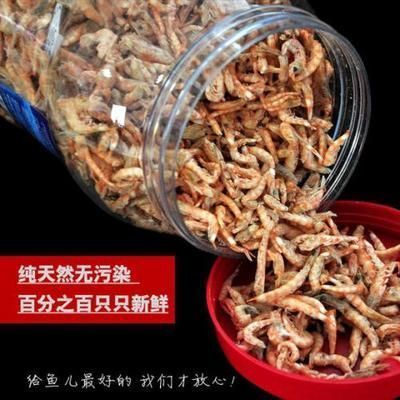 龍魚多少溫度最好：龍魚的飼養技術 龍魚多少溫度最好：龍魚的飼養技術 龍魚百科 第9張