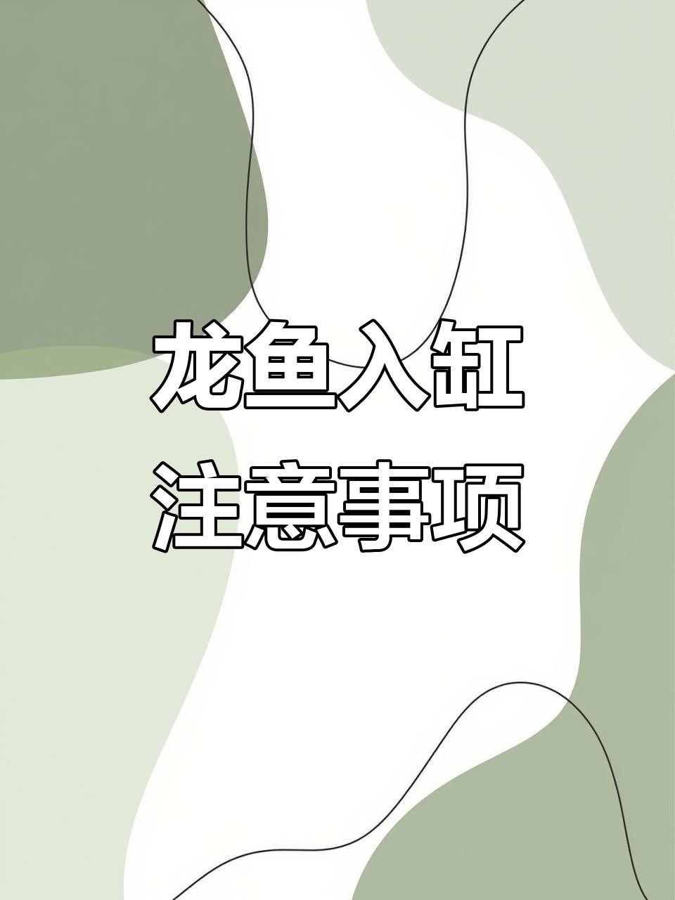 龍魚換缸后有哪些注意事項？