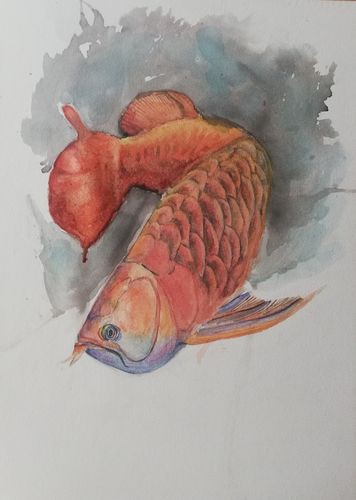 能推薦一些古風深海龍魚插畫作品嗎？ 能推薦一些古風深海龍魚插畫作品嗎？ 龍魚百科 第22張