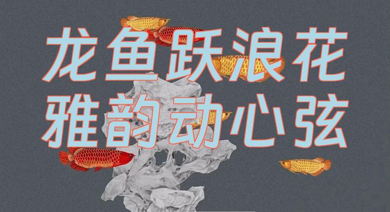 能推薦一些古風深海龍魚插畫作品嗎？ 能推薦一些古風深海龍魚插畫作品嗎？ 龍魚百科 第35張