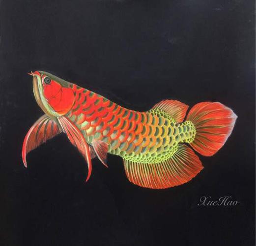 能推薦一些古風深海龍魚插畫作品嗎？ 能推薦一些古風深海龍魚插畫作品嗎？ 龍魚百科 第18張